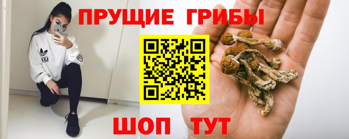 Псилоцибиновые грибы мицелий Зеленодольск